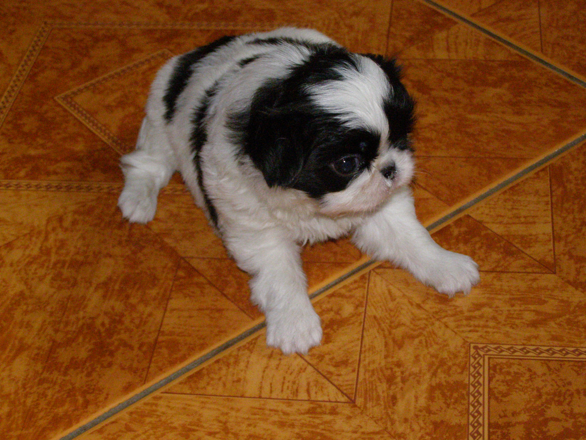 Snímek 091