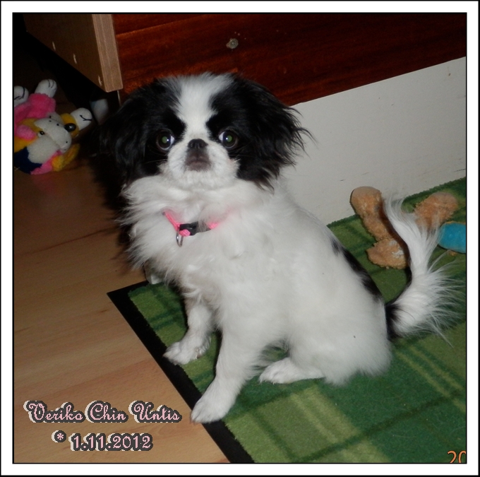 Veriko Chin Untis 1