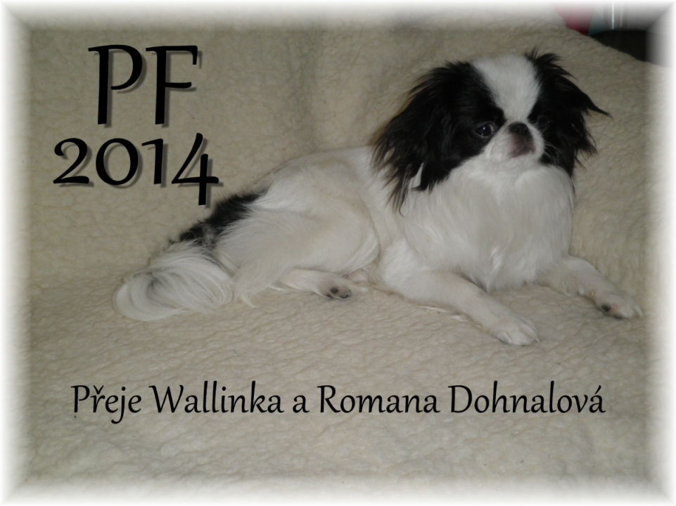 Poděkování úplně VŠEM, co zaslali krásná přání.PF2014RDU